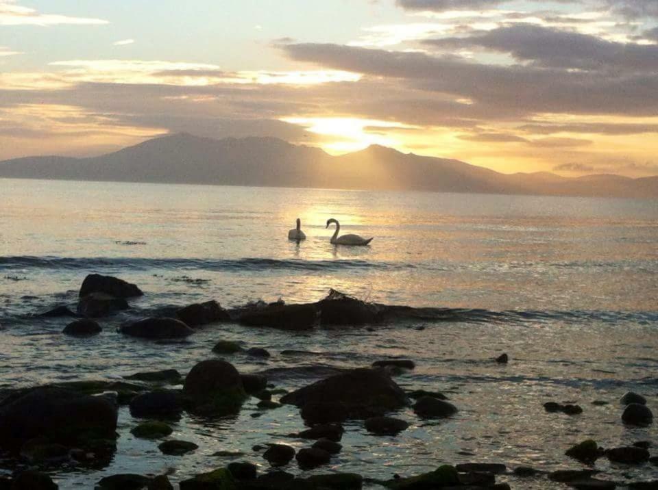 Tarbert Lägenhet West Kilbride Exteriör bild